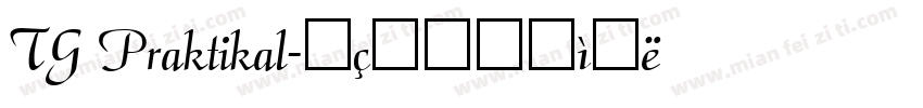 TG Praktikal字体转换